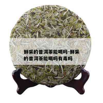 鲜采的普洱茶能喝吗-鲜采的普洱茶能喝吗有吗