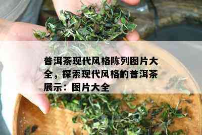 普洱茶现代风格陈列图片大全，探索现代风格的普洱茶展示：图片大全