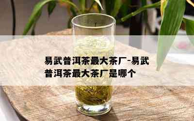 易武普洱茶更大茶厂-易武普洱茶更大茶厂是哪个