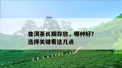 普洱茶长期存放，哪种好？选择关键看这几点