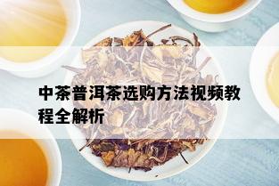 中茶普洱茶选购方法视频教程全解析