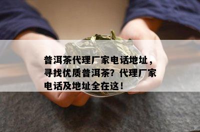 普洱茶代理厂家电话地址，寻找优质普洱茶？代理厂家电话及地址全在这！