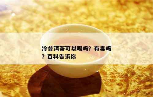 冷普洱茶可以喝吗？有吗？百科告诉你