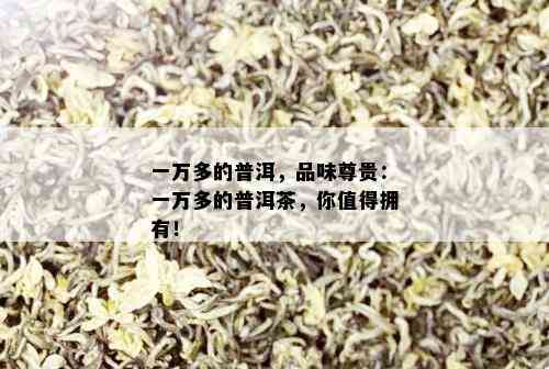 一万多的普洱，品味尊贵：一万多的普洱茶，你值得拥有！