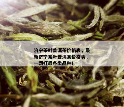 济宁茶叶普洱茶价格表，最新济宁茶叶普洱茶价格表，一网打尽各类品种！