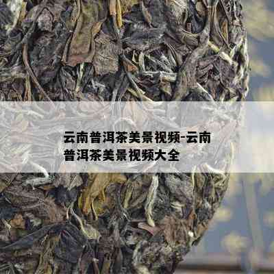 云南普洱茶美景视频-云南普洱茶美景视频大全