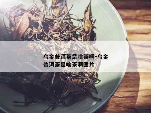 乌金普洱茶是啥茶啊-乌金普洱茶是啥茶啊图片