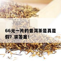 66元一片的普洱茶是真是假？求答案！