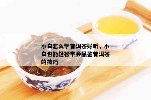 小白怎么学普洱茶好听，小白也能轻松学会品鉴普洱茶的技巧