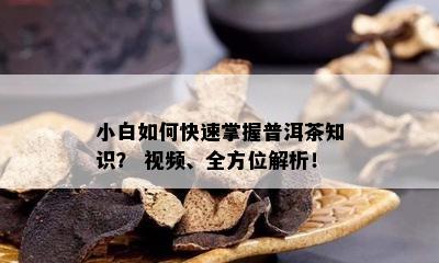 小白如何快速掌握普洱茶知识？ 视频、全方位解析！