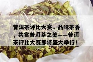 普洱茶评比大赛，品味茶香，共赏普洱茶之美——普洱茶评比大赛即将盛大举行！