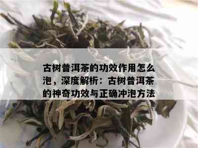 古树普洱茶的功效作用怎么泡，深度解析：古树普洱茶的神奇功效与正确冲泡方法