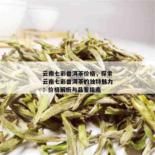 云南七彩普洱茶价格，探索云南七彩普洱茶的独特魅力：价格解析与品鉴指南