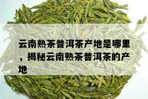 云南熟茶普洱茶产地是哪里，揭秘云南熟茶普洱茶的产地