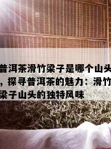 普洱茶滑竹梁子是哪个山头，探寻普洱茶的魅力：滑竹梁子山头的独特风味