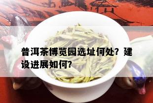 普洱茶博览园选址何处？建设进展如何？