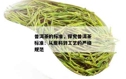 普洱茶的标准，探究普洱茶标准：从原料到工艺的严格规范