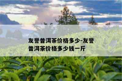 友誉普洱茶价格多少-友誉普洱茶价格多少钱一斤