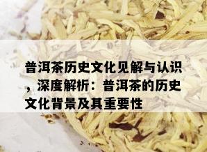 普洱茶历史文化见解与认识，深度解析：普洱茶的历史文化背景及其重要性