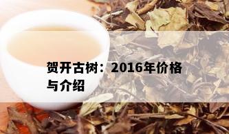 贺开古树：2016年价格与介绍