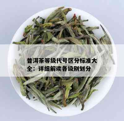 普洱茶等级代号区分标准大全：详细解读各级别划分