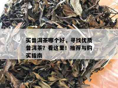 买普洱茶哪个好，寻找优质普洱茶？看这里！推荐与购买指南