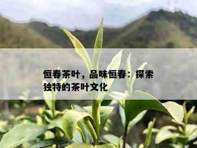 恒春茶叶，品味恒春：探索独特的茶叶文化