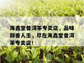 海鑫堂普洱茶专卖店，品味醇香人生，尽在海鑫堂普洱茶专卖店！