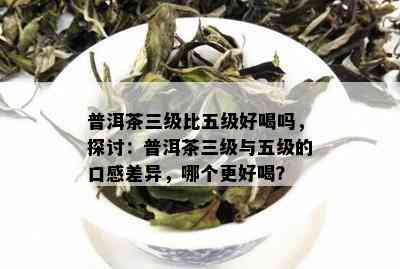 普洱茶三级比五级好喝吗，探讨：普洱茶三级与五级的口感差异，哪个更好喝？