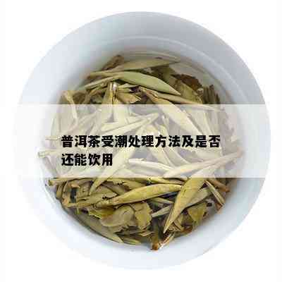 普洱茶受潮处理方法及是否还能饮用