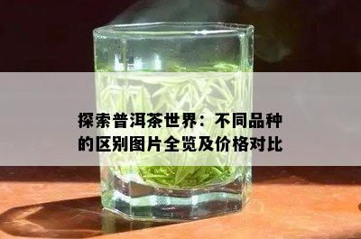 探索普洱茶世界：不同品种的区别图片全览及价格对比