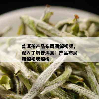 普洱茶产品布局图解视频，深入了解普洱茶：产品布局图解视频解析