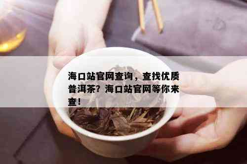 海口站官网查询，查找优质普洱茶？海口站官网等你来查！