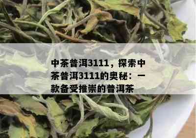 中茶普洱3111，探索中茶普洱3111的奥秘：一款备受推崇的普洱茶