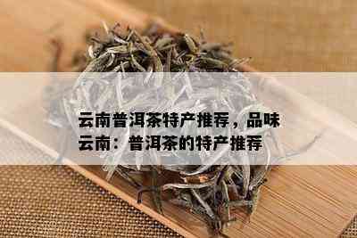 云南普洱茶特产推荐，品味云南：普洱茶的特产推荐