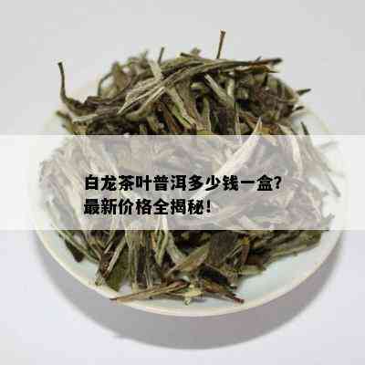 白龙茶叶普洱多少钱一盒？最新价格全揭秘！