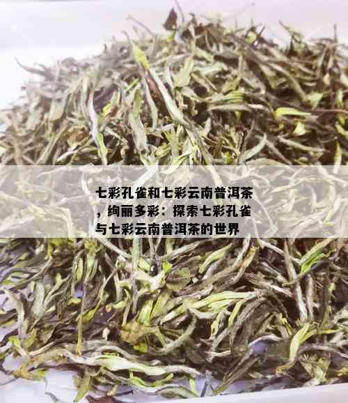 七彩孔雀和七彩云南普洱茶，绚丽多彩：探索七彩孔雀与七彩云南普洱茶的世界