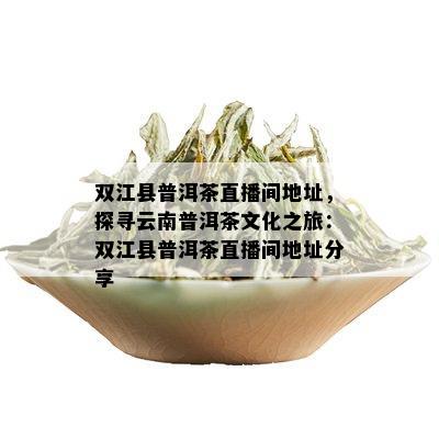 双江县普洱茶直播间地址，探寻云南普洱茶文化之旅：双江县普洱茶直播间地址分享