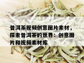 普洱茶视频创意图片素材，探索普洱茶的世界：创意图片和视频素材库