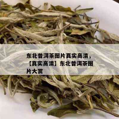 东北普洱茶图片真实高清，【真实高清】东北普洱茶图片大赏