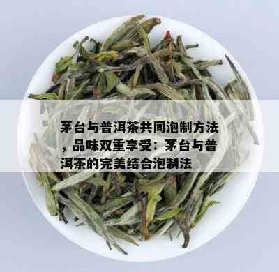 茅台与普洱茶共同泡制方法，品味双重享受：茅台与普洱茶的完美结合泡制法