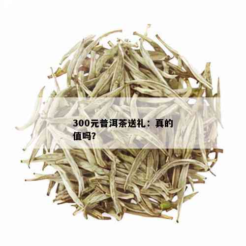 300元普洱茶送礼：真的值吗？