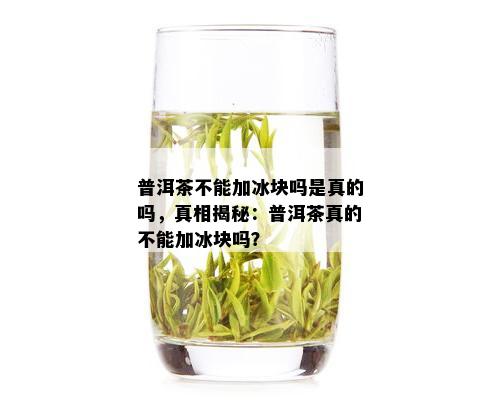 普洱茶不能加冰块吗是真的吗，真相揭秘：普洱茶真的不能加冰块吗？