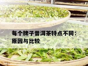 每个牌子普洱茶特点不同：原因与比较