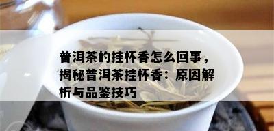 普洱茶的挂杯香怎么回事，揭秘普洱茶挂杯香：原因解析与品鉴技巧