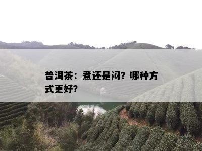 普洱茶：煮还是闷？哪种方式更好？