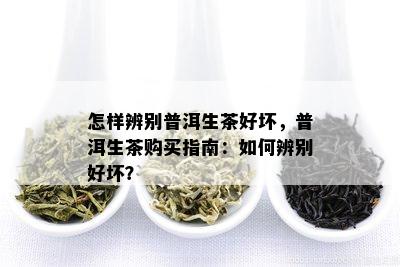 怎样辨别普洱生茶好坏，普洱生茶购买指南：如何辨别好坏？