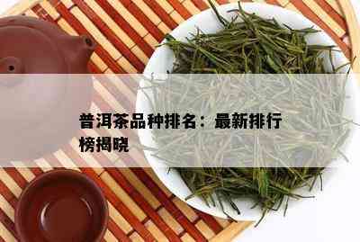 普洱茶品种排名：最新排行榜揭晓