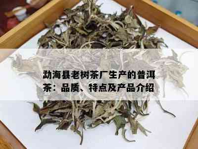 勐海县老树茶厂生产的普洱茶：品质、特点及产品介绍