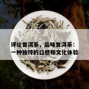 评论普洱茶，品味普洱茶：一种独特的口感和文化体验